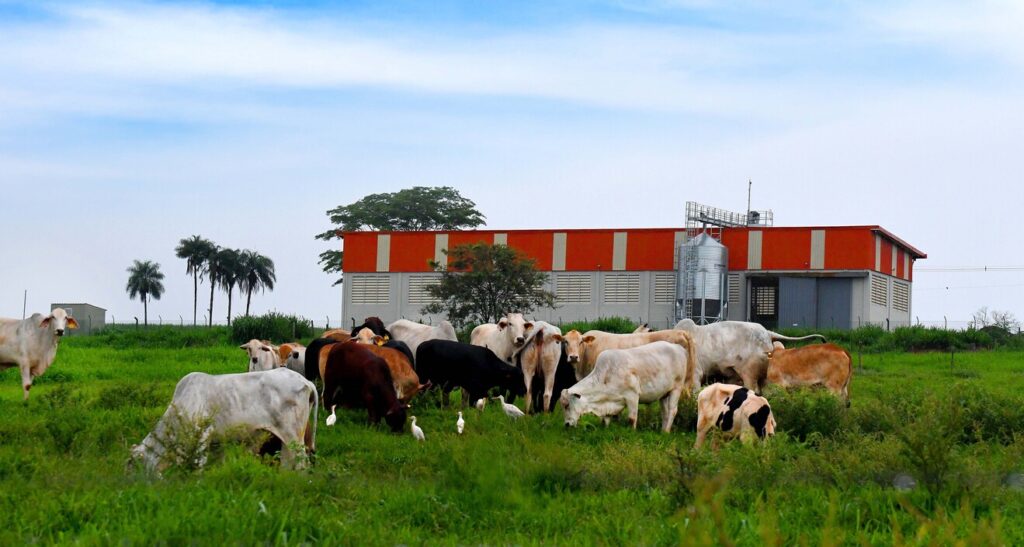 Evento gratuito em Santa Rita do Passa Quatro destaca práticas sustentáveis na integração lavoura-pecuária